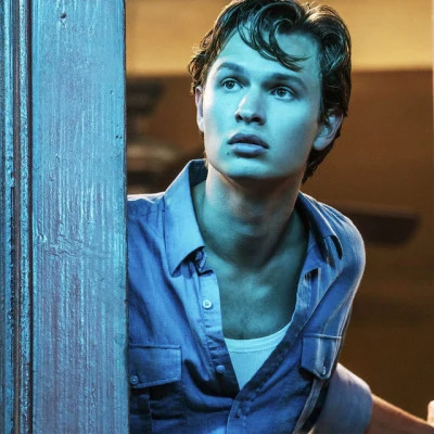 歌手 Ansel Elgort