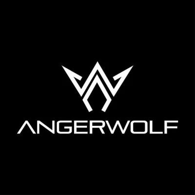 歌手 Angerwolf