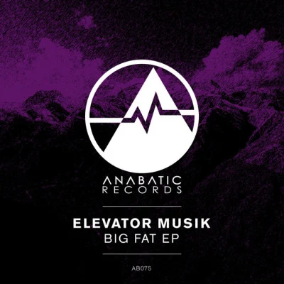 歌手 Elevator Musik