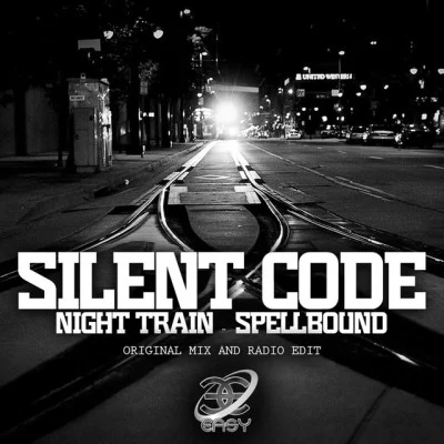 歌手 Silent Code