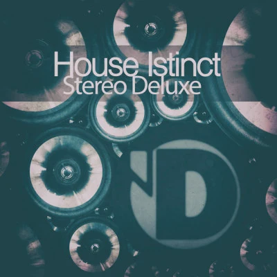 歌手 House Istinct