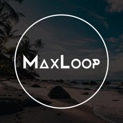 歌手 MaxLoop