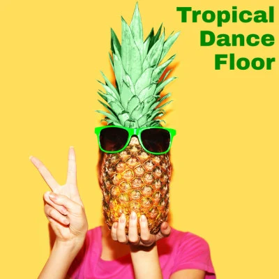 Tropical Chill Music Land Deep 歌手