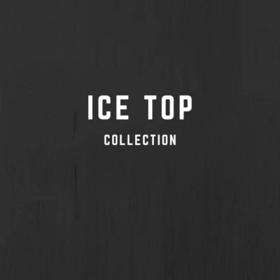 Ice Top 歌手