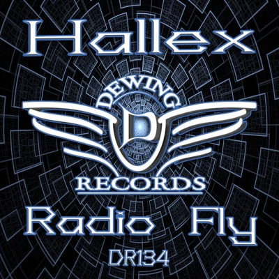 歌手 Hallex