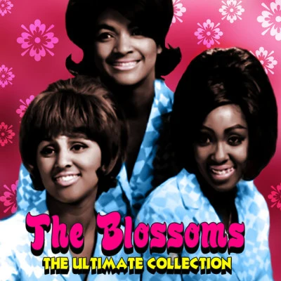 The Blossoms/The Chantels/The Bobbettes Girl Group Superstars, Vol. 1: The Bobbettes & The Chantels