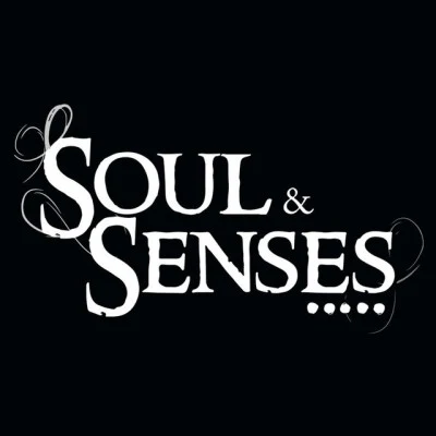 歌手 Soul & Senses