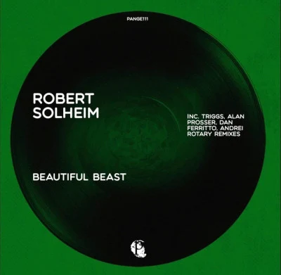 Robert Solheim 歌手