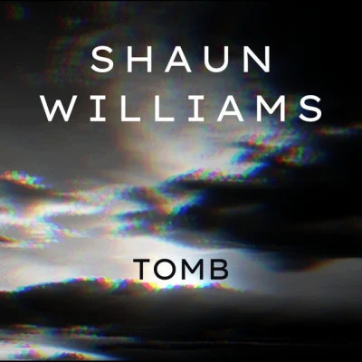 歌手 Shaun Williams