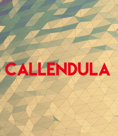 Callendula/Yvan/Sedoy/MC Archella/Grigorio Plus Top 10 - Newest and Coolest (October)