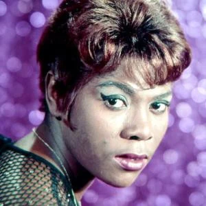 歌手 Dee Dee Warwick