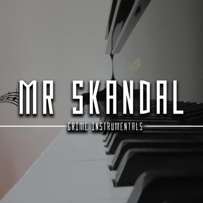 歌手 MR SKANDAL