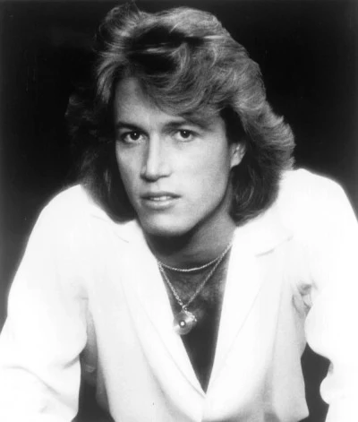 Andy Gibb 歌手