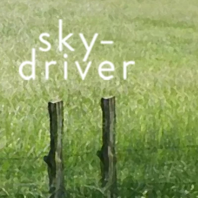 歌手 Skydriver