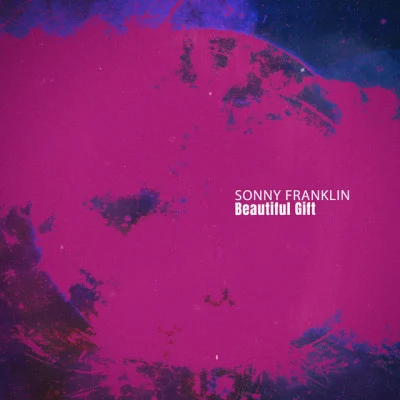 歌手 Sonny Franklin