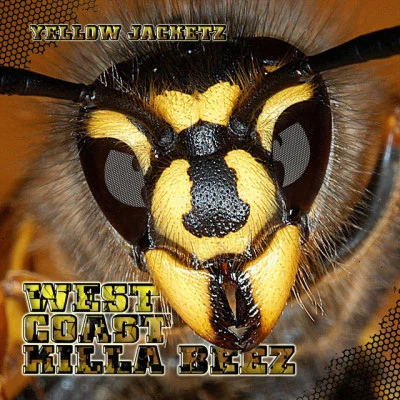 Yellow Jacketz 歌手