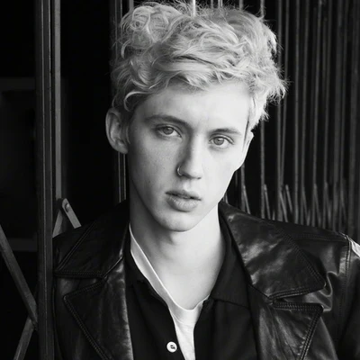 歌手 Troye Sivan