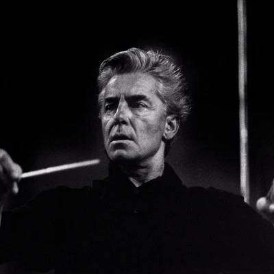 Herbert von Karajan 歌手