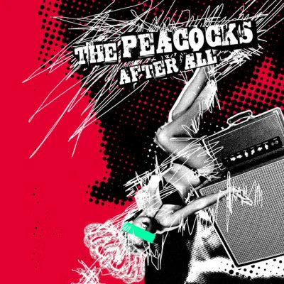 歌手 The Peacocks