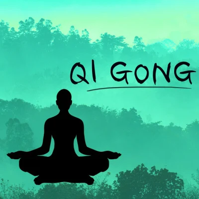 Qi Gong Academy 歌手