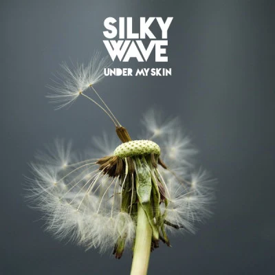 歌手 Silky Wave