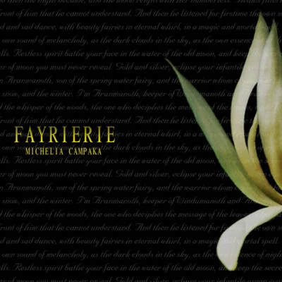 歌手 Fayrierie