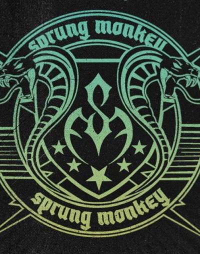 歌手 Sprung Monkey