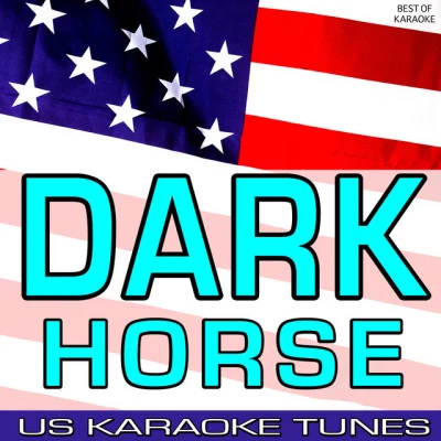 US Karaoke Tunes 歌手