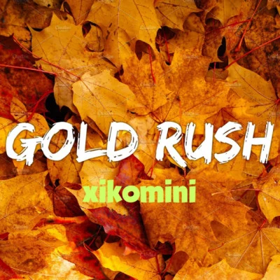 歌手 GOLD RUSH