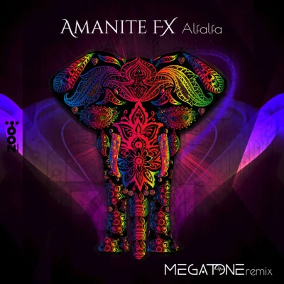 歌手 Amanite FX