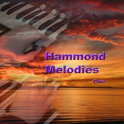 歌手 Mr. Hammond