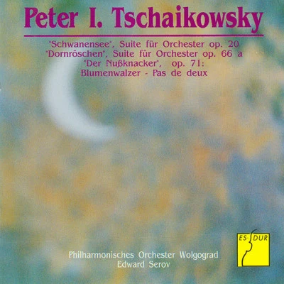 歌手 Volgograd Philharmonic OrchestraEdward Serov