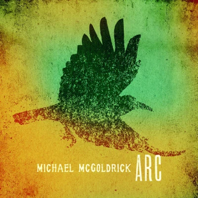 Michael McGoldrick 歌手