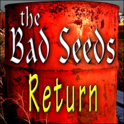 The Bad Seeds 歌手