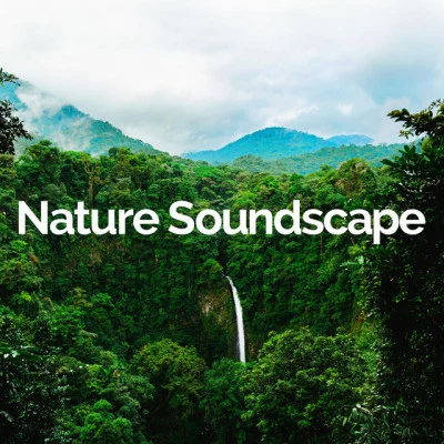 歌手 Nature SoundscapeNatural SoundsAmbiente