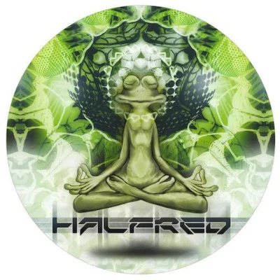 歌手 HalfredLo.Renzo