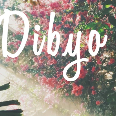 歌手 Dibyo