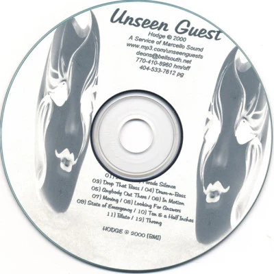 Unseen Guest 歌手