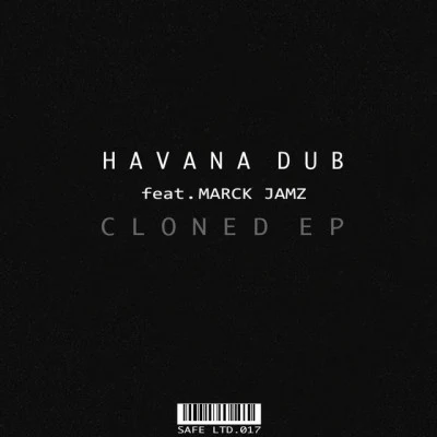 Havana Dub 歌手