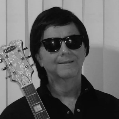 歌手 Roy Orbison