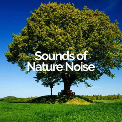 歌手 Sounds of Nature Noise