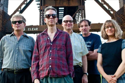 歌手 The Feelies