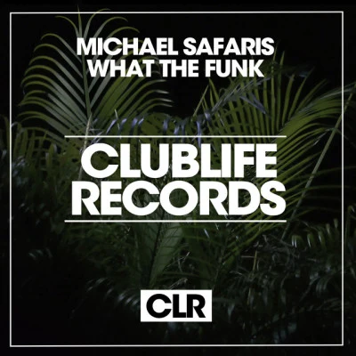 歌手 Michael Safaris