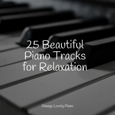 Piano Music for Work/Gym Piano/Calming Piano 18 of the Best Piano Songs to Calm Babies