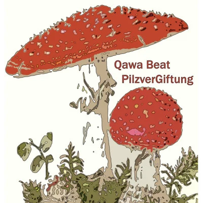 歌手 Qawa Beat