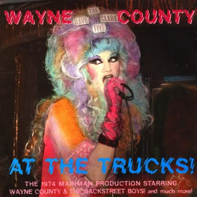 歌手 Wayne County