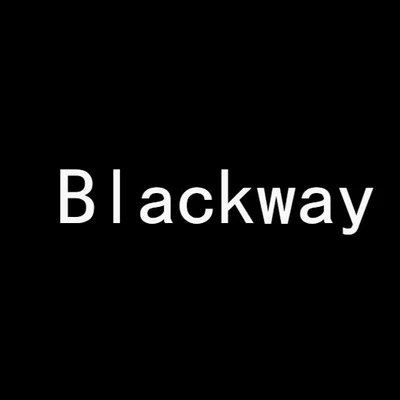 歌手 Blackway