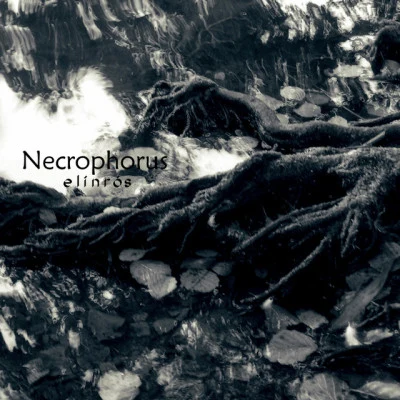 Necrophorus 歌手