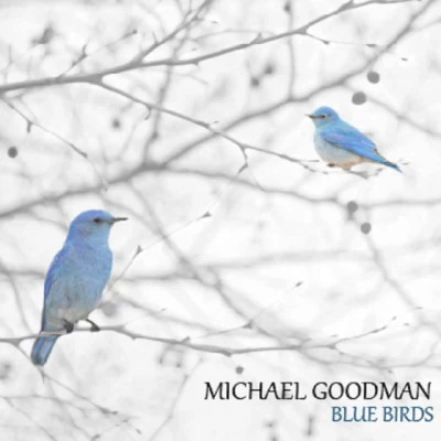 Michael Goodman 歌手