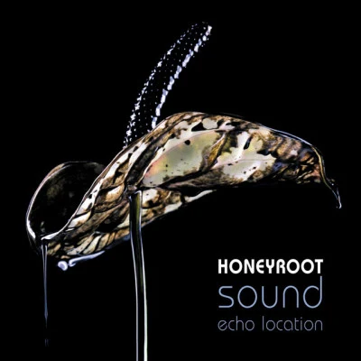 歌手 Honeyroot